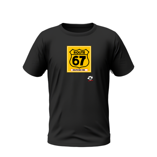 Route 67 (Route des vins)
