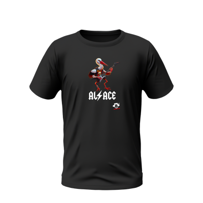 ALSACE CIGOGNE ROCK