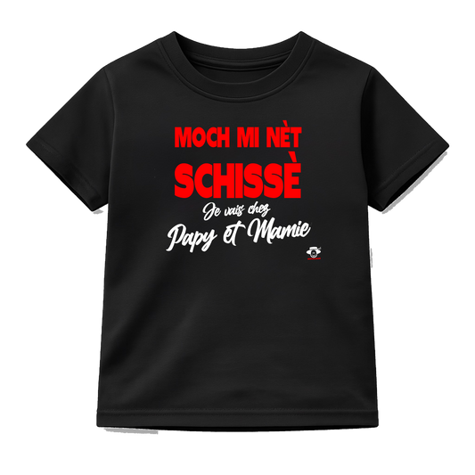 Moch mi net Schisse, je vais chez Papy et Mamie